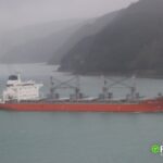 Menyelisik Fenomena Judi Daring